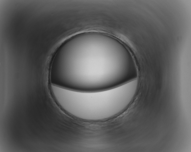 X0000089851504200706281010
