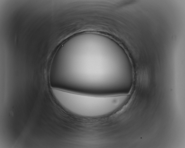 X0000089851505200706281010