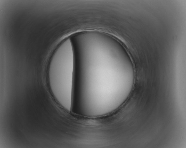 X0000089851507200706281010