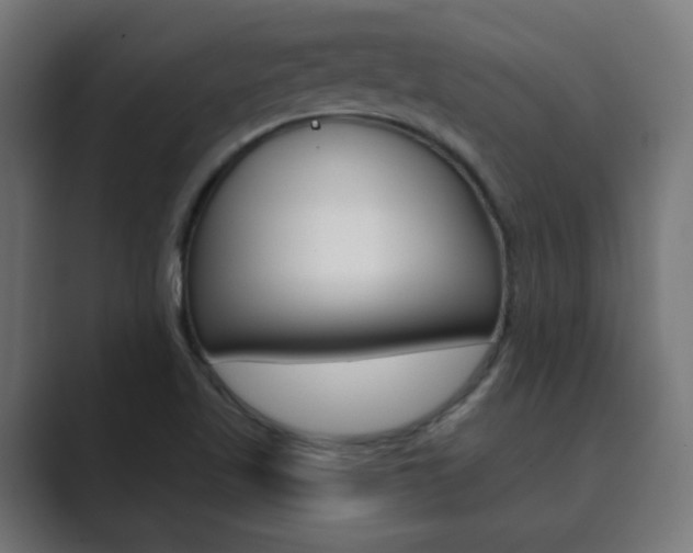 X0000089851509200706281010