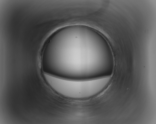 X0000089851510200706281010