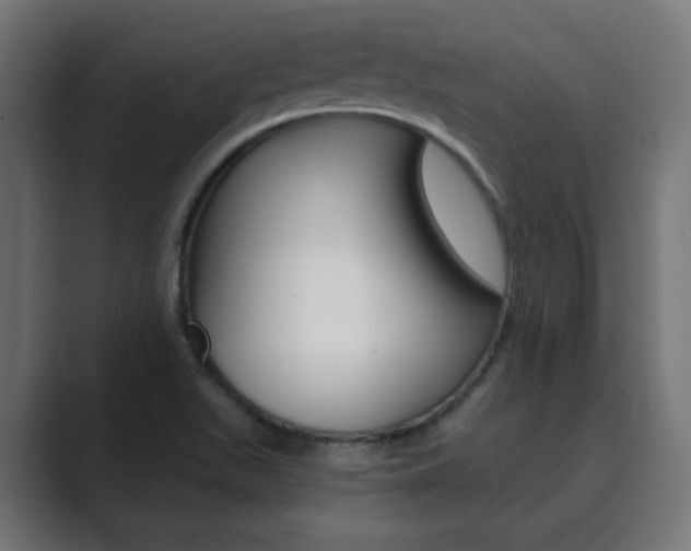 X0000089851511200706281010
