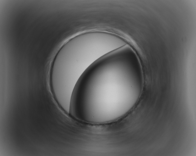 X0000089851512200706281010