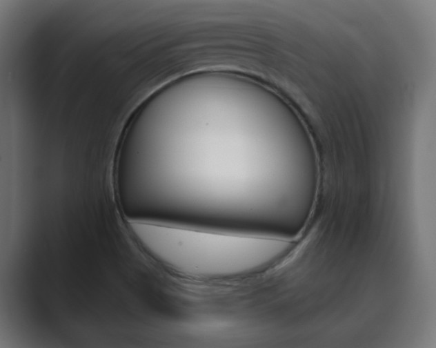 X0000089851513200706281010