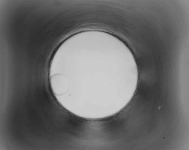 X0000089851514200706281010