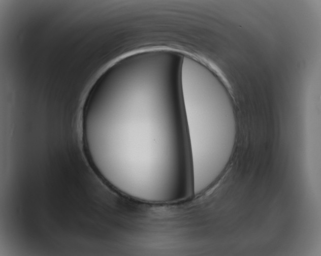 X0000089851516200706281010