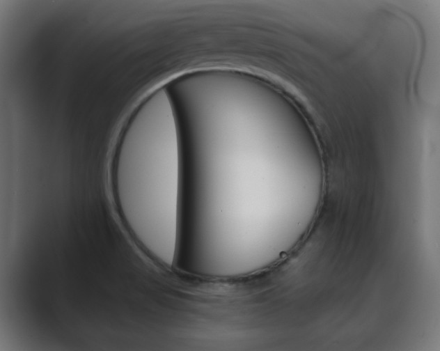 X0000089851517200706281010