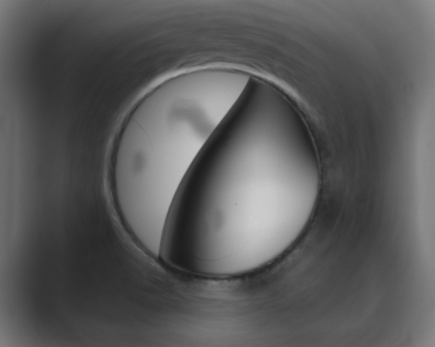 X0000089851518200706281010
