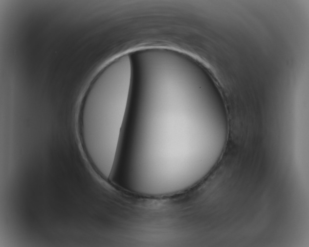 X0000089851519200706281010