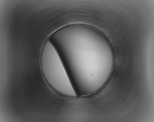 X0000089851521200706281010