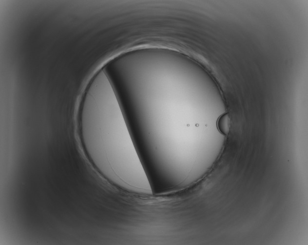X0000089851522200706281010
