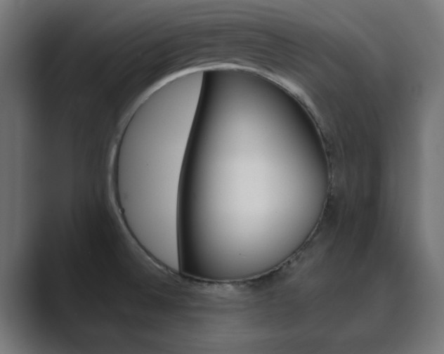 X0000089851524200706281010
