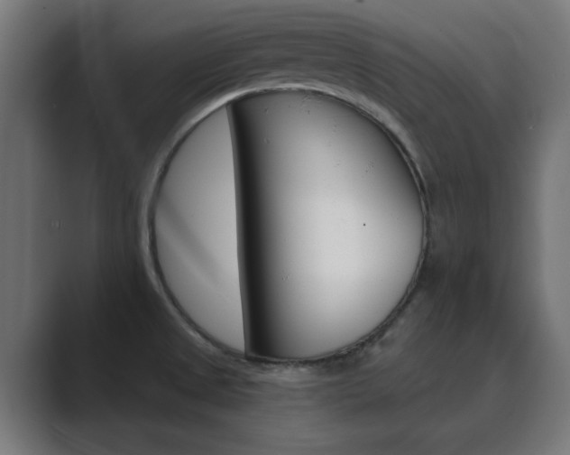 X0000089851525200706281010