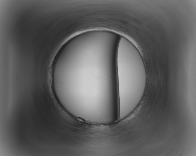X0000089851526200706281010