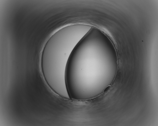 X0000089851528200706281010