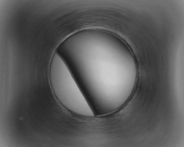 X0000089851529200706281010