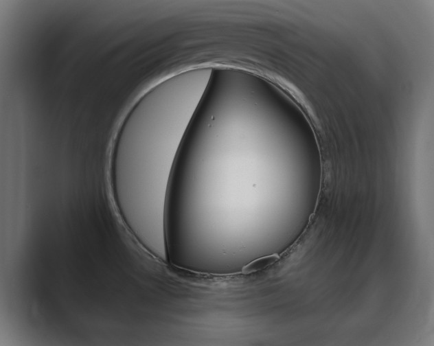 X0000089851530200706281010