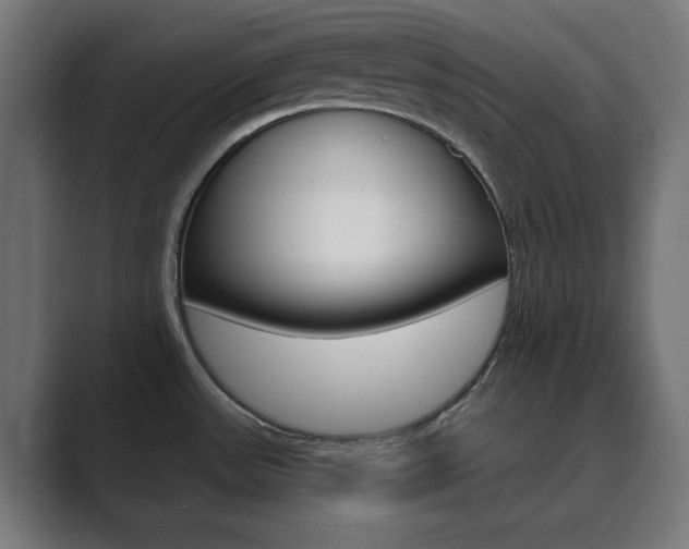 X0000089851531200706281010