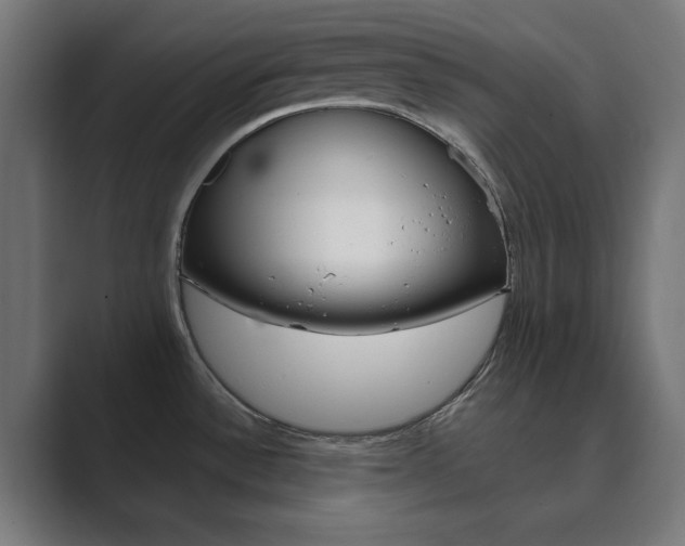 X0000089851532200706281010