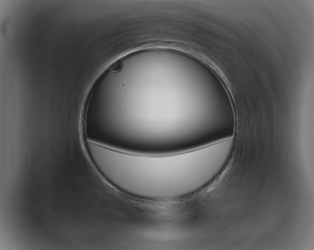 X0000089851533200706281010