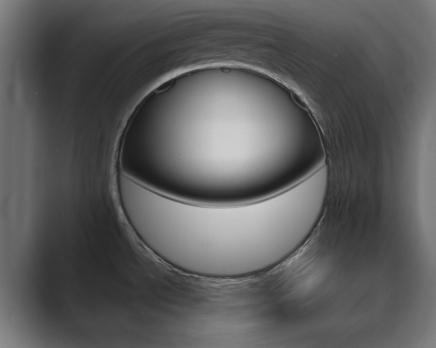X0000089851534200706281010