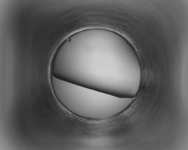 X0000089851535200706281010