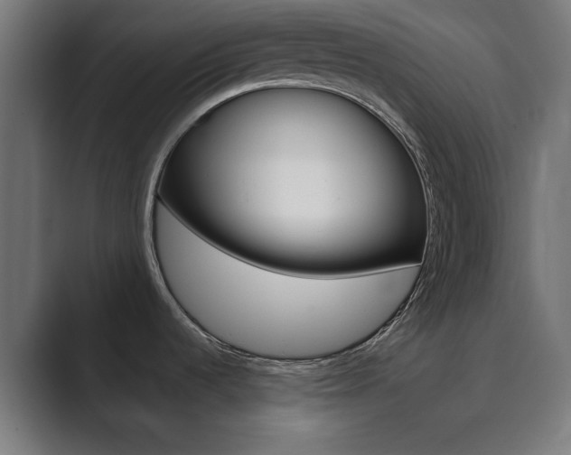X0000089851536200706281010