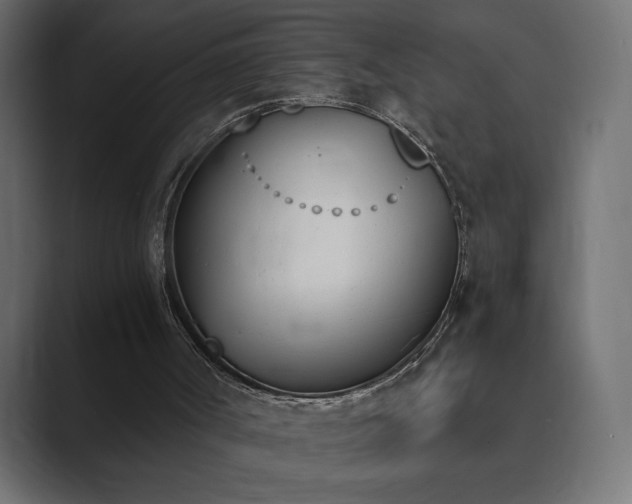 X0000089850002200706281300