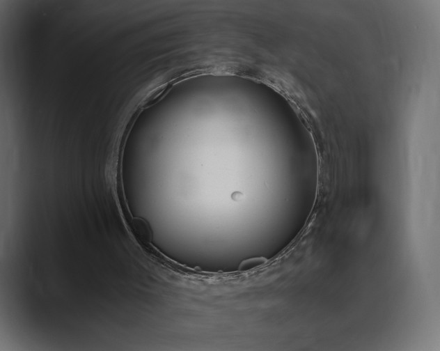 X0000089850003200706281300