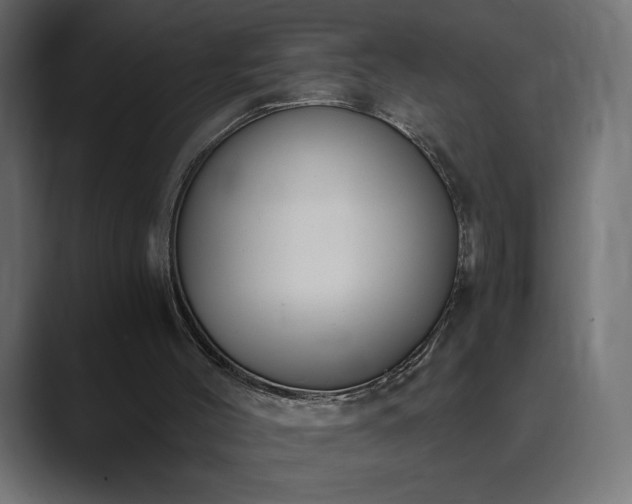 X0000089850004200706281300