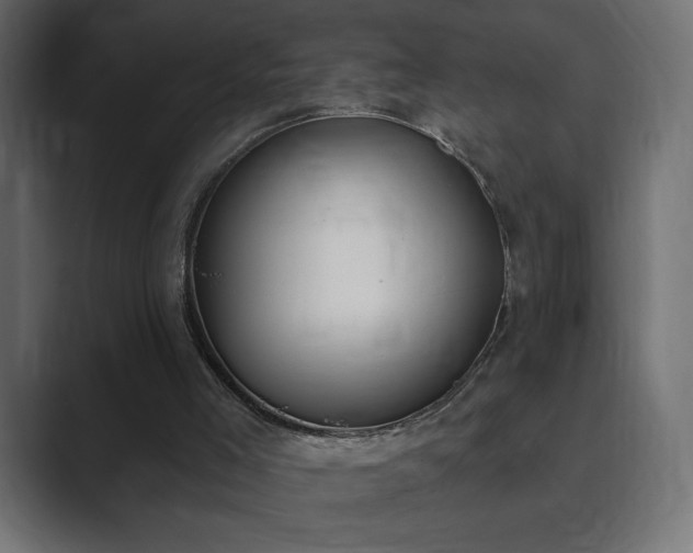X0000089850005200706281300