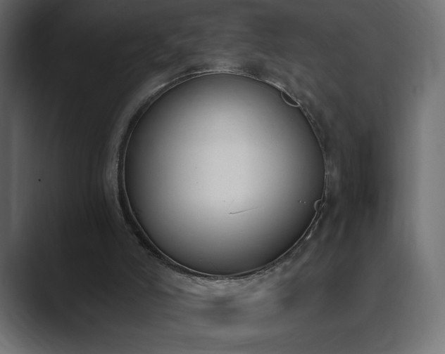X0000089850006200706281300