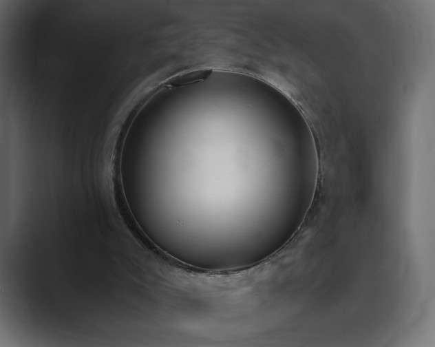 X0000089850007200706281300