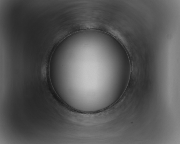 X0000089850010200706281300