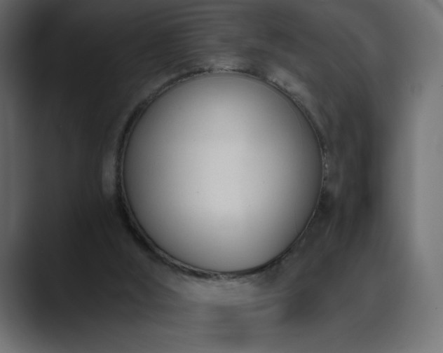 X0000089850012200706281300