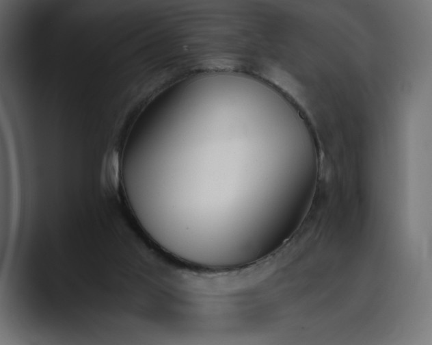 X0000089850013200706281259