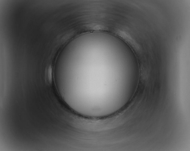 X0000089850014200706281259