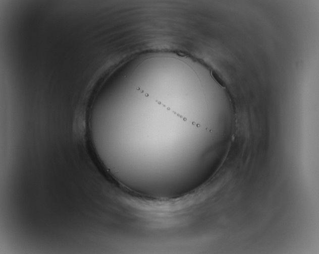 X0000089850015200706281259
