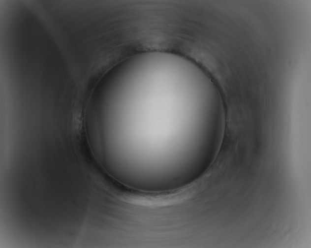X0000089850017200706281259