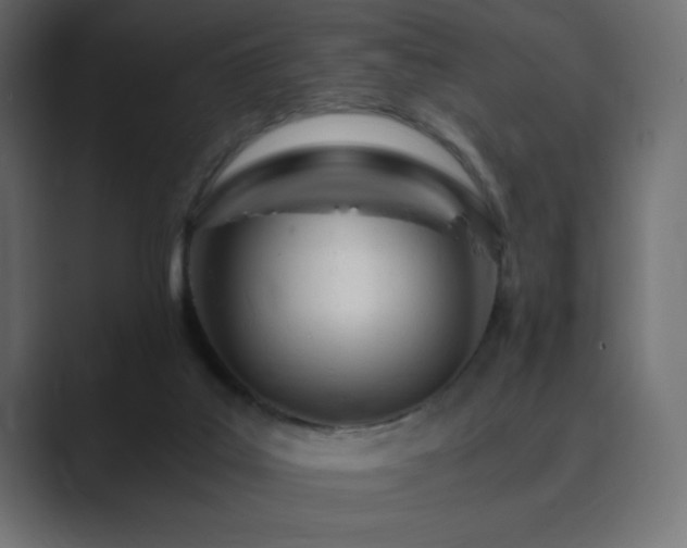 X0000089850019200706281259