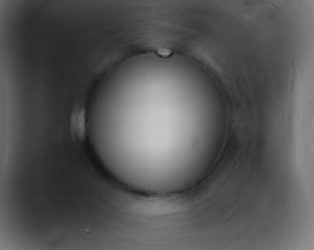 X0000089850020200706281259