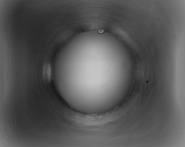 X0000089850022200706281259