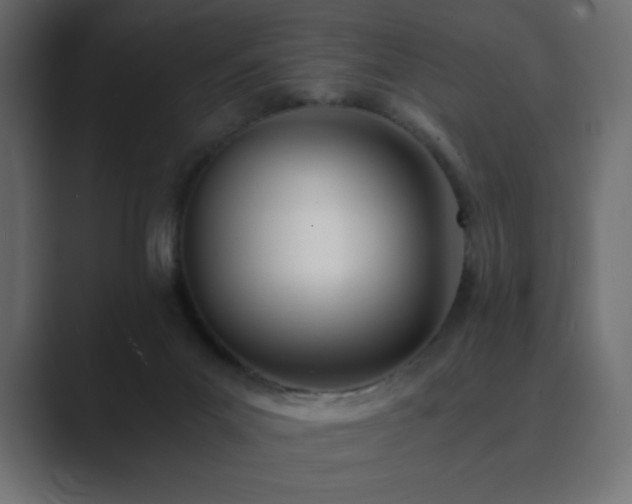 X0000089850023200706281259