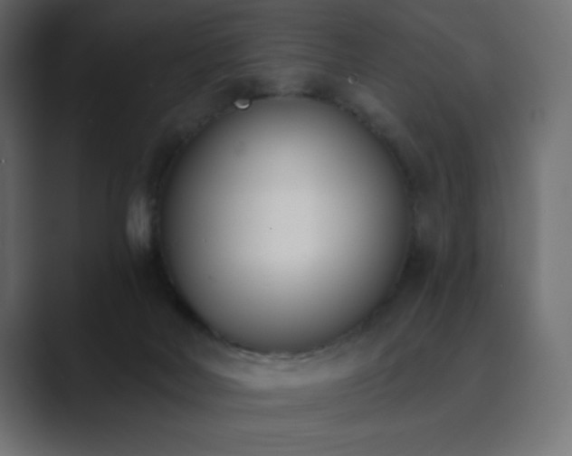 X0000089850026200706281259