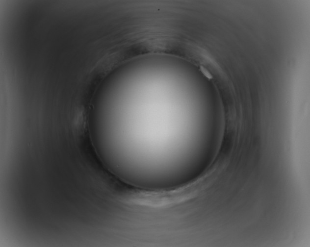 X0000089850029200706281259