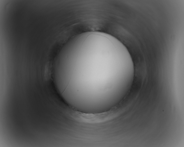 X0000089850030200706281259