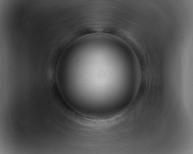 X0000089850031200706281259