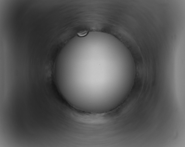 X0000089850032200706281259