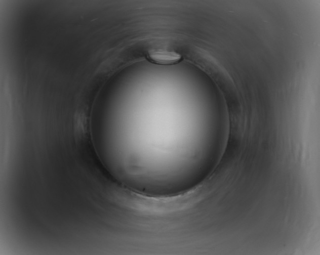 X0000089850035200706281259