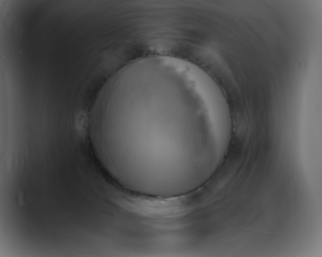 X0000089850036200706281259